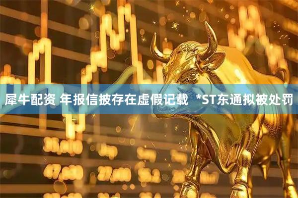 犀牛配资 年报信披存在虚假记载  *ST东通拟被处罚
