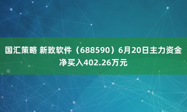 国汇策略 新致软件（688590）6月20日主力资金净买入402.26万元