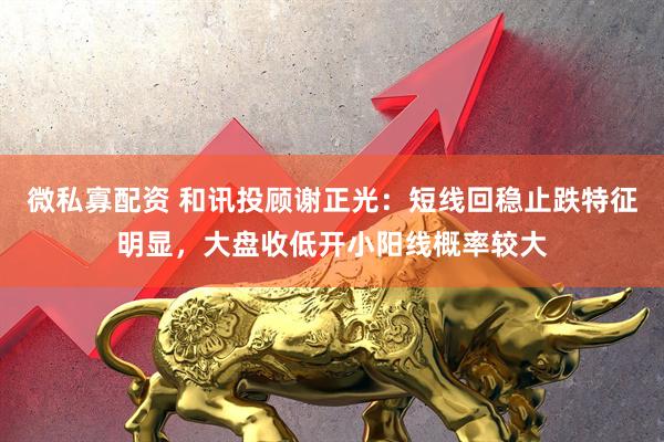 微私寡配资 和讯投顾谢正光：短线回稳止跌特征明显，大盘收低开小阳线概率较大
