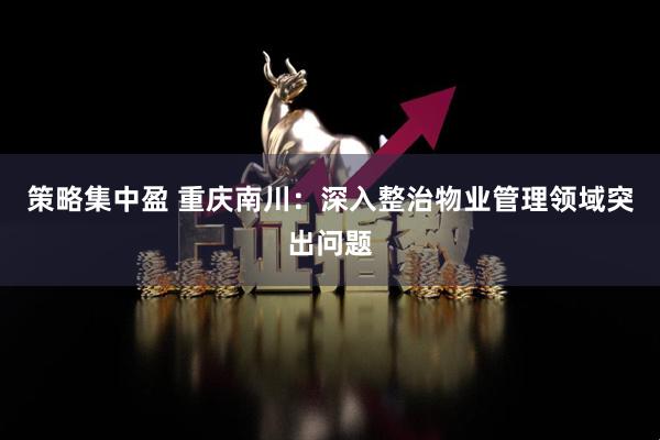 策略集中盈 重庆南川：深入整治物业管理领域突出问题