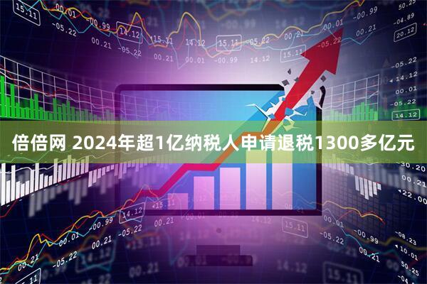 倍倍网 2024年超1亿纳税人申请退税1300多亿元
